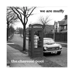 We Are Muffy Charcoal Pool (LP)