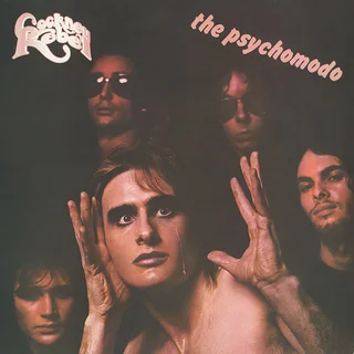 Cockney Rebel Psychomodo (LP)