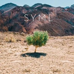 Syml In My Body (LP)