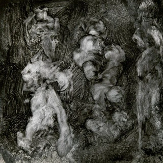 Mark Lanegan &amp; Duke Garwood With Animals (LP)