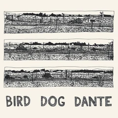 John Parish Bird Dog Dante (LP)