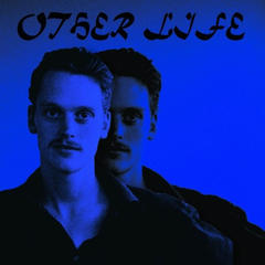 Sean Nicholas Savage Other Life (LP)