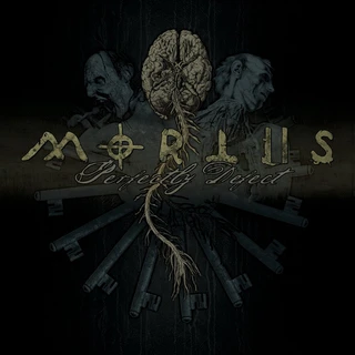 Mortiis Perfectly Defect (LP)