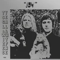 Ty Segall &amp; White Fence Joy (LP)