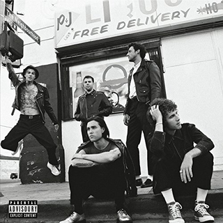 The Neighbourhood The Neighbourhood (2LP)