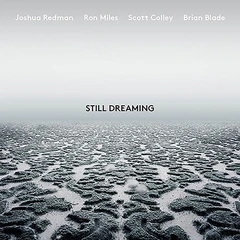 Joshua Redman Still Dreaming (LP)