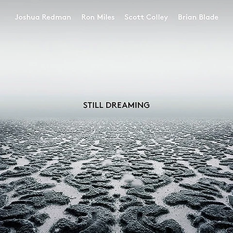 Joshua Redman Still Dreaming (LP) 
