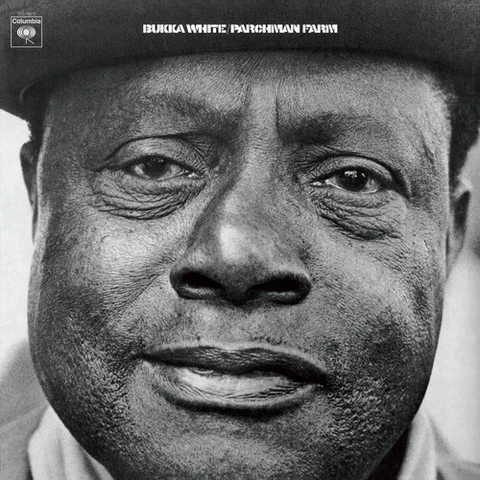 Bukka White Parchman Farm (LP) 