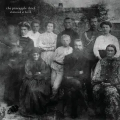 The Pineapple Thief Abducted At Birth (2LP)