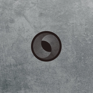 Red Mecca I See Darkness In You (LP)