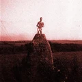 Mount Kimbie Love What Survives Remixes 1 (12")