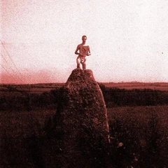 Mount Kimbie Love What Survives Remixes 1 (12")