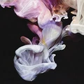 Simian Mobile Disco Murmurations (2LP)