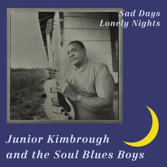 Junior Kimbrough Sad Days Lonely Nights (LP) 
