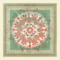 Trampled By Turtles Life Is Good On The Open Road - LTD (LP)