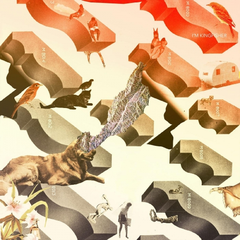 I'm Kingfisher Transit (LP)