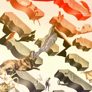 I'm Kingfisher Transit (LP)