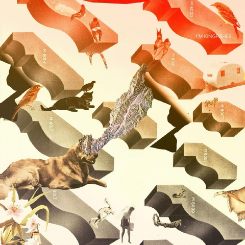 I'm Kingfisher Transit (LP) 