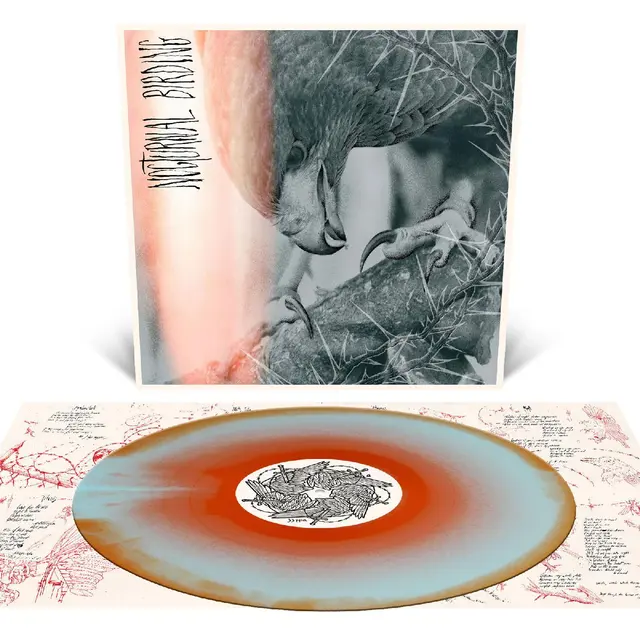 Author & Punisher Nocturnal Birding - LTD (LP) 