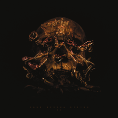 Dark Buddha Rising II (LP)