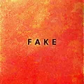 Die Nerven Fake (LP)
