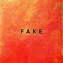 Die Nerven Fake (LP)