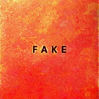 Die Nerven Fake (LP)