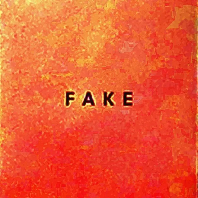 Die Nerven Fake (LP) 