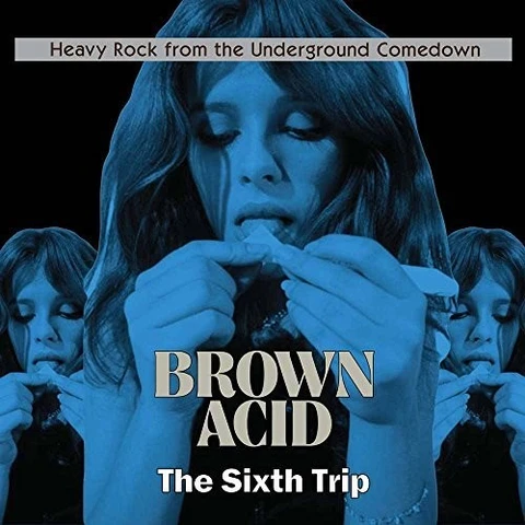 Diverse Artister Brown Acid - The Sixth Trip (LP) 