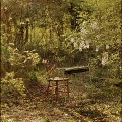 Luke Schneider For Dancing In Quiet Light (LP)