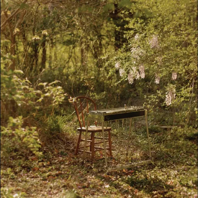 Luke Schneider For Dancing In Quiet Light (LP) 