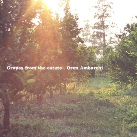 Oren Ambarchi Grapes From The Estate (2LP) 
