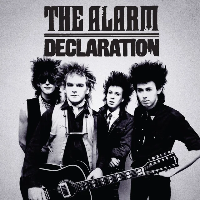 Alarm Declaration 1984-1985 (2LP) 