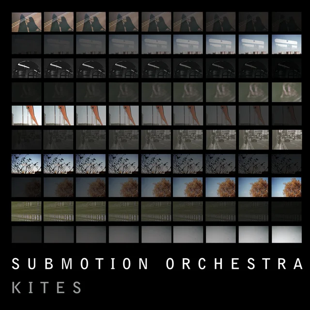 Submotion Orchestra Kites (LP) 