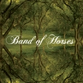 Band Of Horses Everything All The Time (LP)