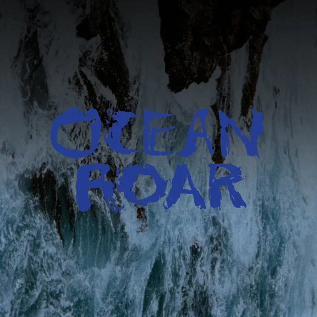 Mount Eerie Ocean Roar (LP) 