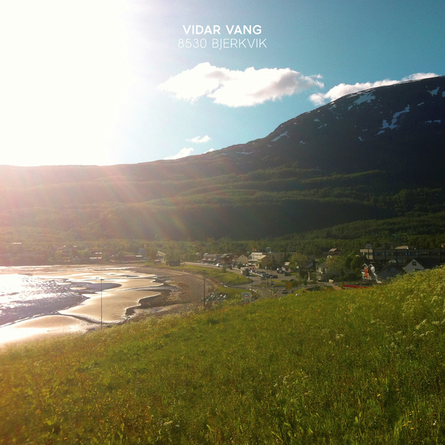 Vidar Vang 8530 Bjerkvik (LP) 