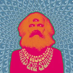 Baby Woodrose Third Eye Surgery - LTD (LP)