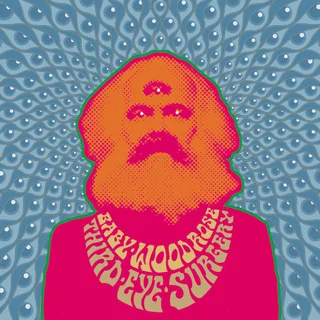 Baby Woodrose Third Eye Surgery - LTD (LP)