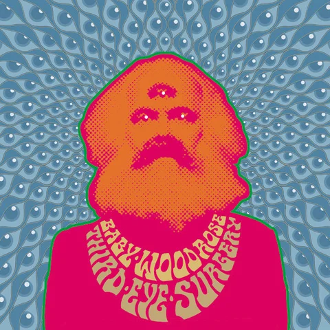 Baby Woodrose Third Eye Surgery - LTD (LP) 