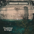 Trummor &amp; Orgel Indivisibility (LP)