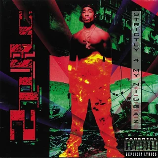 2Pac Strictly 4 My N.I.G.G.A.Z... (2LP)
