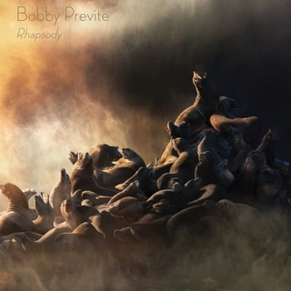 Bobby Previte Rhapsody (LP)