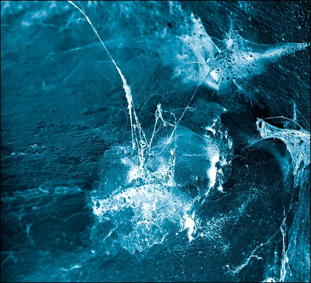Arstidir Hvel (LP) 