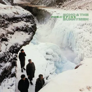 Echo And The Bunnymen Porcupine (CD)