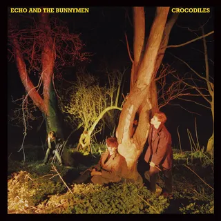 Echo &amp; The Bunnymen Crocodiles (CD)