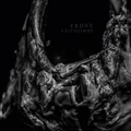 Erdve Vaitojimas (LP - LTD)
