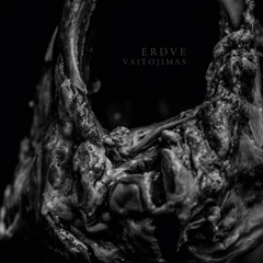 Erdve Vaitojimas (LP)
