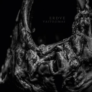 Erdve Vaitojimas (LP - LTD)