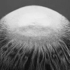 Vasas Flora Och Fauna Berg I Dagen (LP)